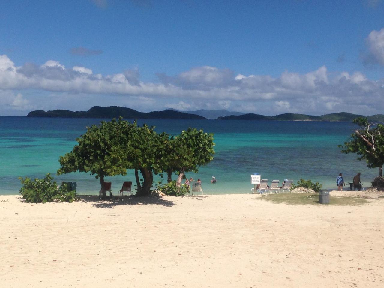 Luxury Beachfront - One Step To Sapphire Beach East End  Eksteriør billede